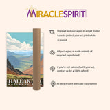 Haleakala National Park, National Parks Wall Poster